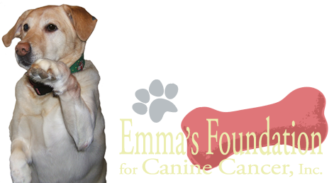 Emmas Foundation for Canine Cancer Inc logo