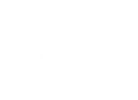 Theater Bug Inc logo