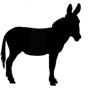TMR Rescue Inc logo
