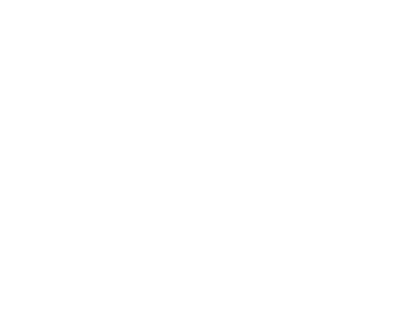 Fifth Avenue South Business Improvement District Inc logo