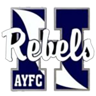 American Youth Football Inc logo