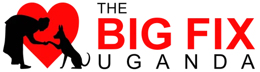 The Big Fix logo
