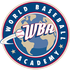 World Baseball Academy Inc logo