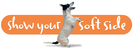 Show Your Soft Side Inc logo