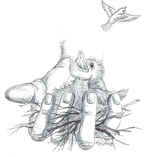 Southwest Virginia Wildlife Center of Roanoke Inc logo
