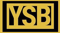 Youth Service Bureau of St Joseph County Inc logo