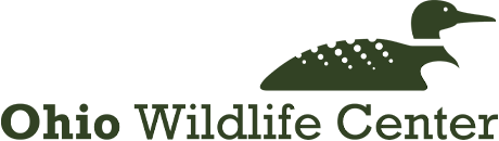 Ohio Wildlife Center logo