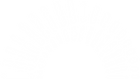 Blue Ash-Montgomery Symphony Orchestra logo
