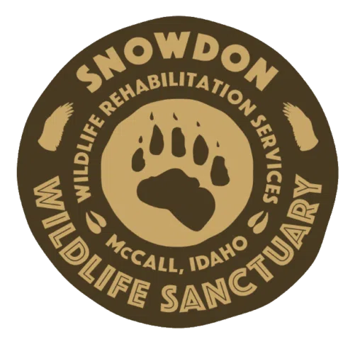 Snowdon Wildlife Sanctuary logo