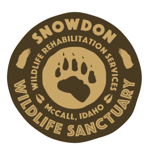 Snowdon Wildlife Sanctuary logo