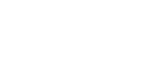 Rachels Network Inc logo