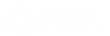 Blueprint for Change logo