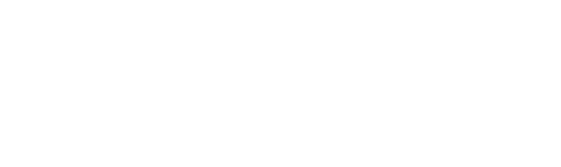Cougar Fund Inc logo