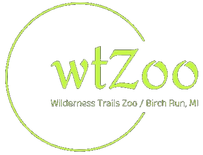 Wilderness Trails Animal Park logo