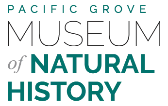 Museum Foundation of Pacific Grove Inc logo