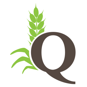 Quigley Foundation Inc logo