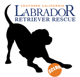 Southern California Labrador Retriever Rescue logo