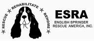 English Springer Rescue America Inc logo