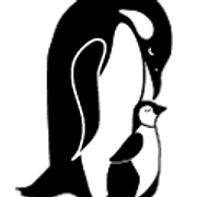 E B Scripps Elementary School Academic Fundraising Partnership logo