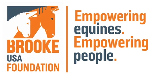 Brooke USA Inc logo