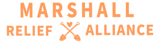 Nanostead Foundation logo