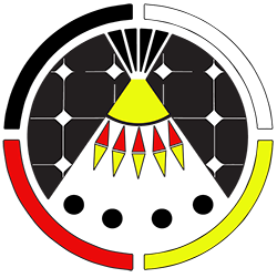 Indigenized Energy Inc logo