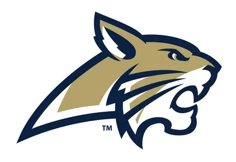 Barrow County Football logo