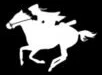 Swamp Fox Initiative logo