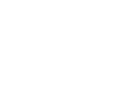 Boy Scouts of America logo