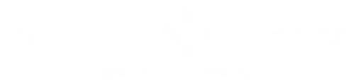 Boy Scouts of America logo