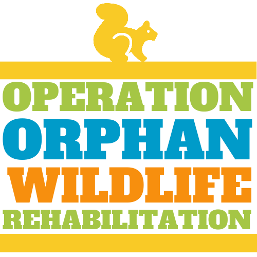 Operation Orphan Wildlife Rehabilitation Inc logo