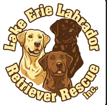 Lake Erie Labrador Retiever Rescue Inc logo
