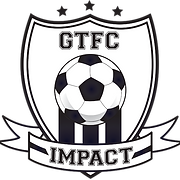 Toledo Futbol Club Inc logo