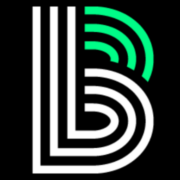 Big Brothers Big Sisters of Central Indiana Inc logo