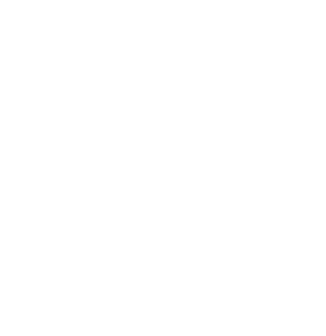 American Board of Neurosurgical Nursing Inc logo