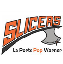 Pop Warner Little Scholars Inc logo