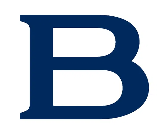 Business Development Corporation logo
