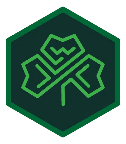 WYS Inc logo