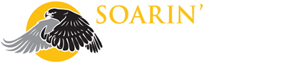 Soarin Hawk Raptor Rehabilitation Inc logo
