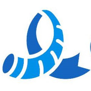 Christ Reaching Asia Mission Worldwide Inc logo