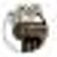 Caesars Foundation of Floyd County Inc logo