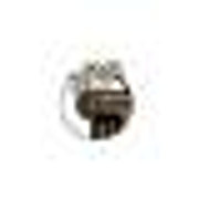 Horseshoe Foundation of Floyd County Inc logo