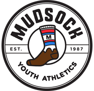 Hamilton Southeastern Youth Football Inc logo