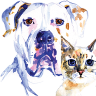 Low Cost Spay-Neuter Clinic Inc logo