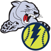 Carol Stream Travel Softball- Baseball Association Inc logo