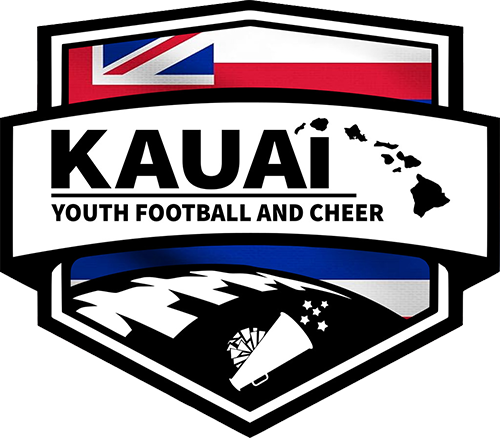 American Youth Football Inc logo