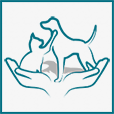 Susie Spector Foundation logo