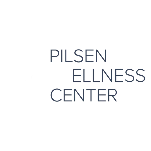 Pilsen Little Village Community Mental Health Center Inc logo