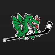 Pine City Youth Hockey Association logo