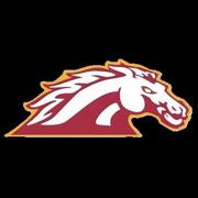 Homer Stallions Youth Football logo